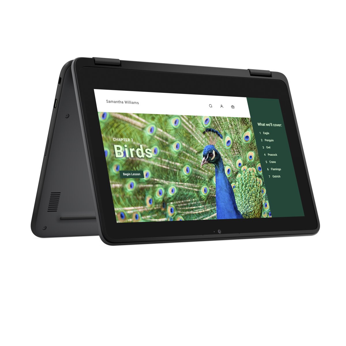 DELL Chromebook 3120 2-in-1 YV3F2 image gallery 1
