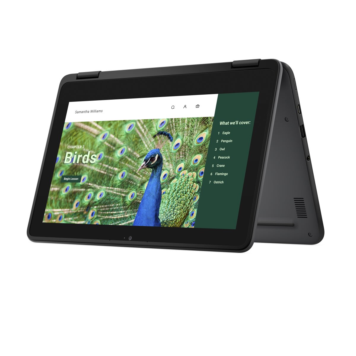 DELL Chromebook 3120 2-in-1 YV3F2 image gallery 2