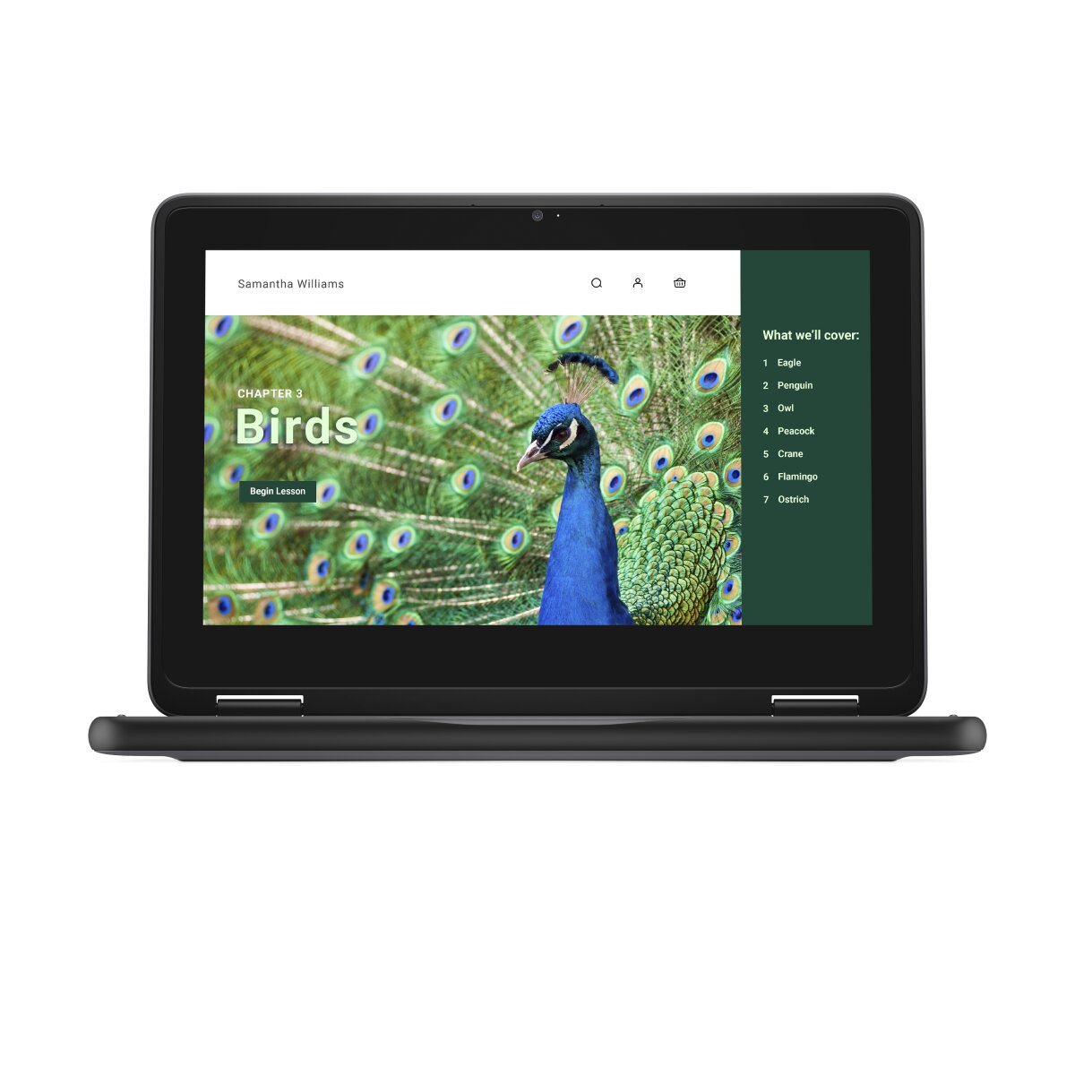 DELL Chromebook 3120 2-in-1 YV3F2 image gallery 3