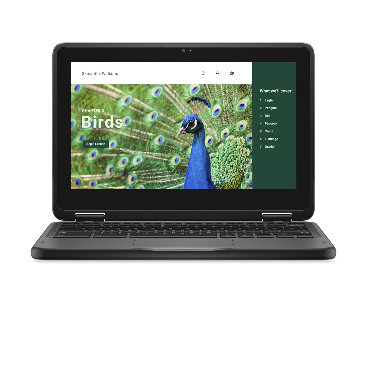 DELL Chromebook 3120 2-in-1 YV3F2 image gallery 6