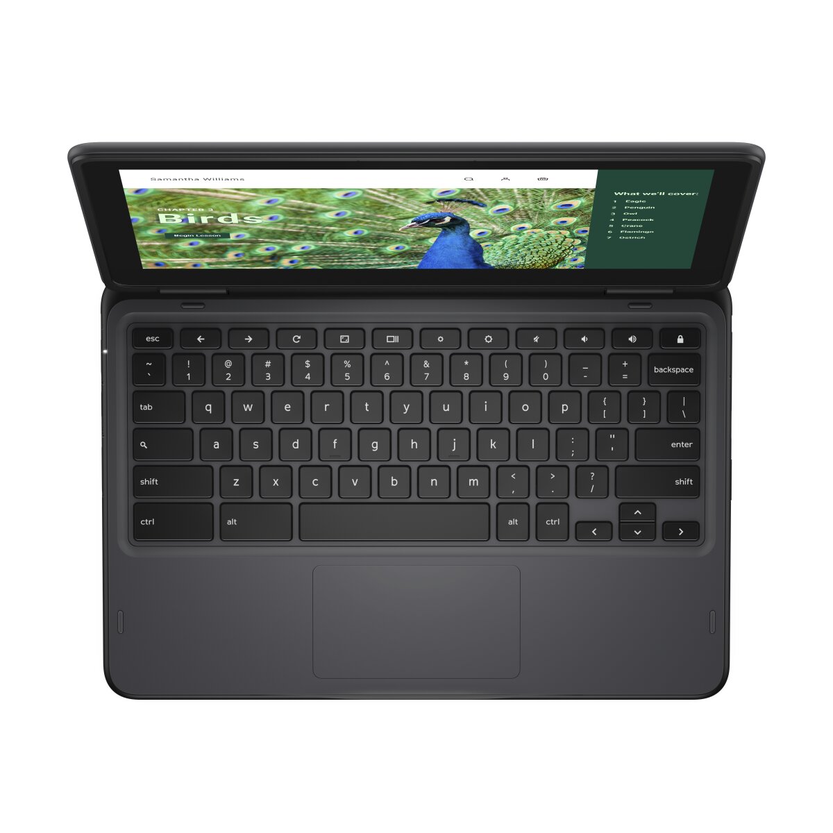 DELL Chromebook 3120 2-in-1 YV3F2 image gallery 7