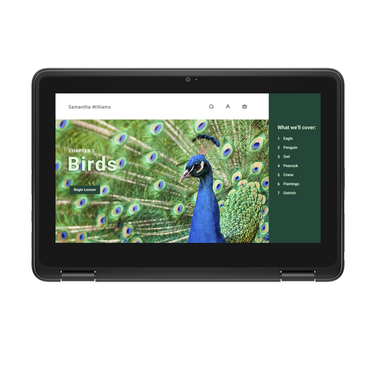 DELL Chromebook 3120 2-in-1 YV3F2 image gallery 8