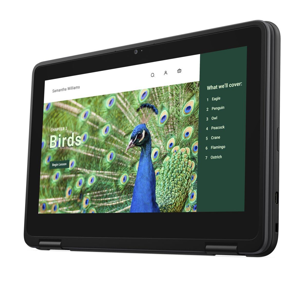 DELL Chromebook 3120 2-in-1 YV3F2 image gallery 9