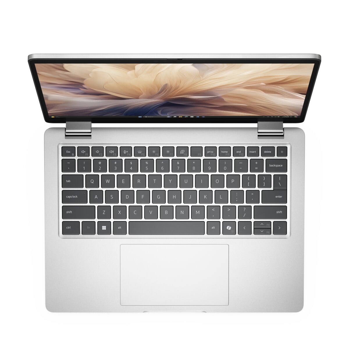 DELL Pro 13 Plus PB13250 2-in-1 MRXPP image gallery 5