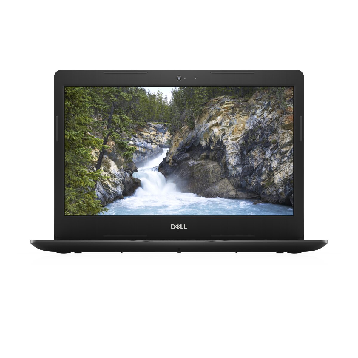 DELL Vostro 3491 N101VN3491EMEA01_2101_PRO image gallery 1