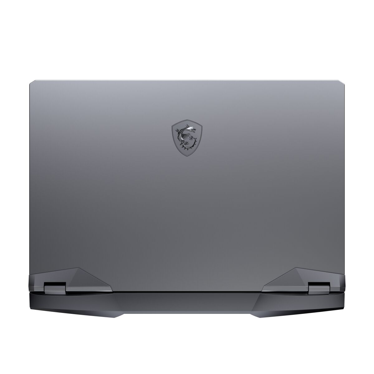 MSI Gaming GE66 10SFS-048 Raider GE66 10SFS-048 image gallery 7