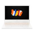 Acer ConceptD 3 Pro CN314-72P-7338 NX.C5VEP.002